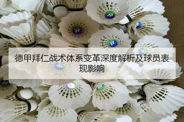 德甲拜仁战术体系变革深度解析及球员表现影响